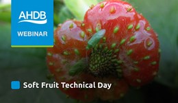 Soft Fruit Technical Day
